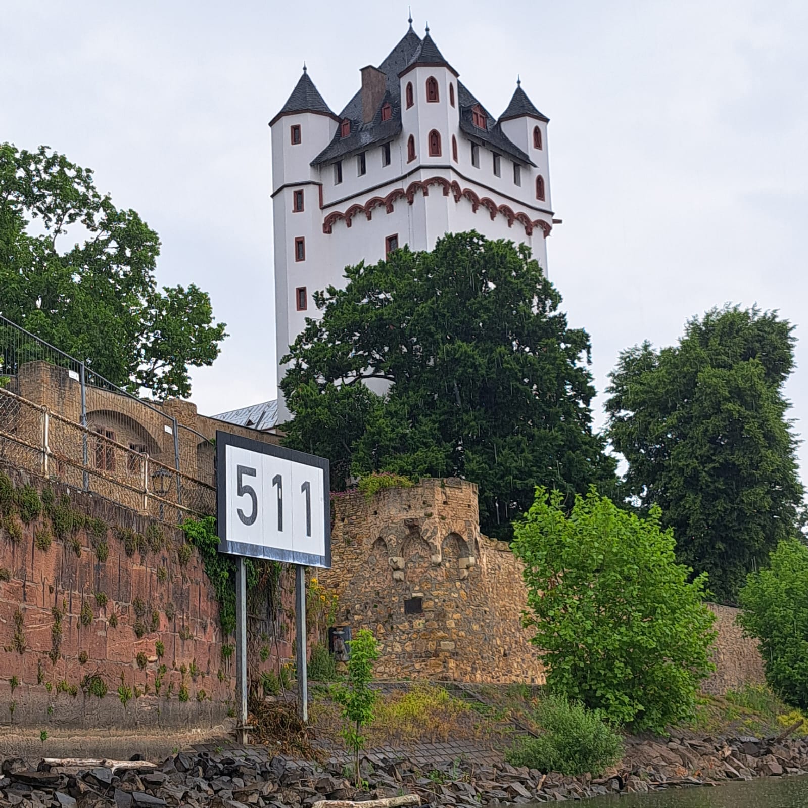 Kurfürstliche Burg Eltville bei Kilometer 511. Etwa 8 km vor dem Ziel