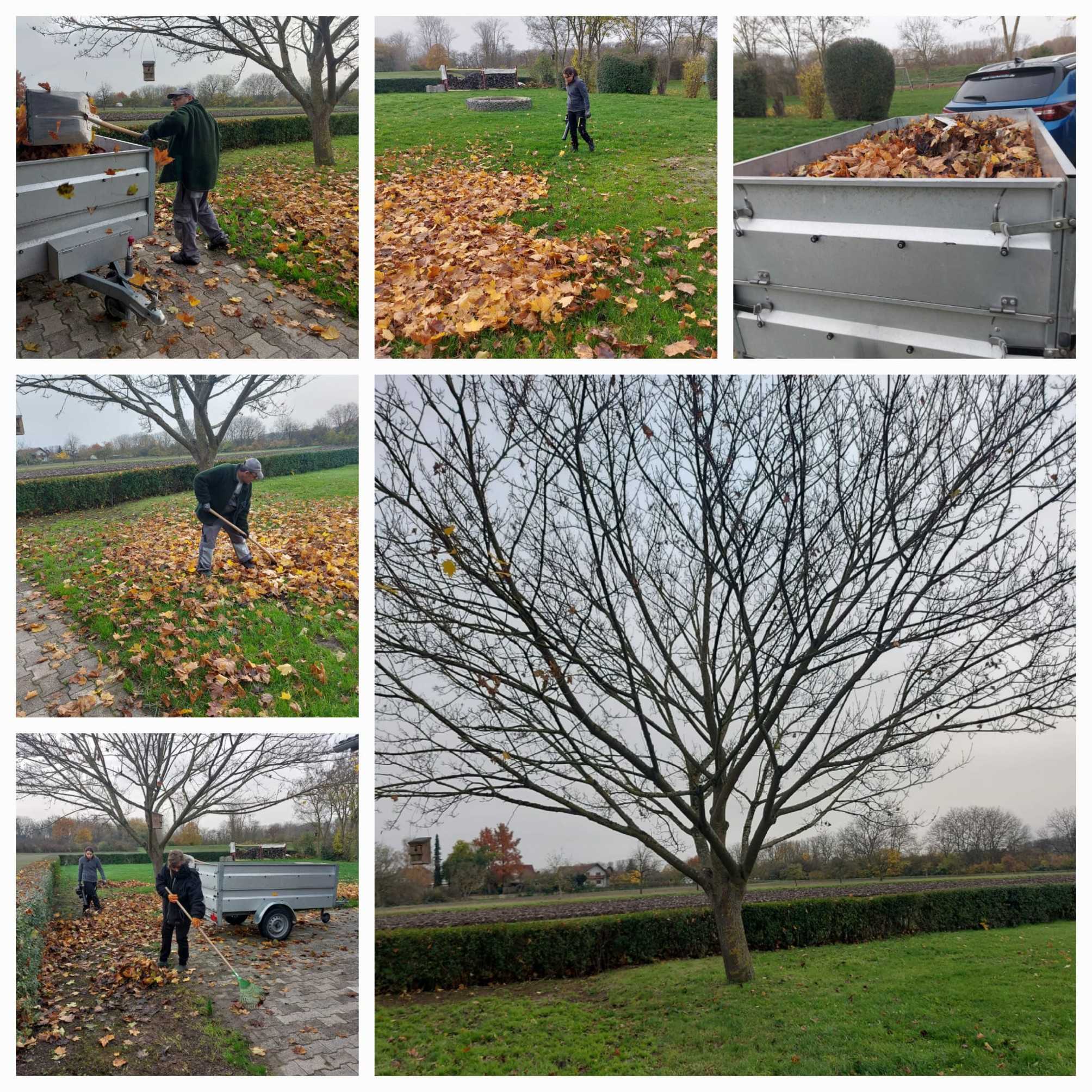 Sondereinsatz Herbstlaub Foto: Regina Kowalczyk