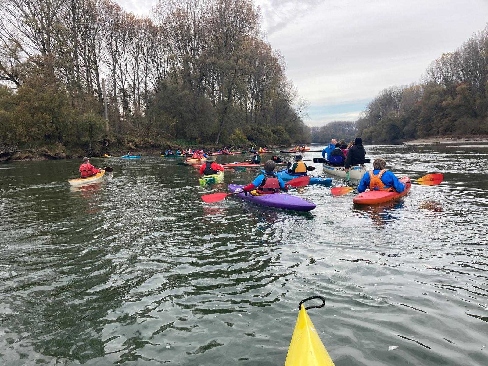 Die KVB-Gruppe im Feld der Paddler*innen aus der Region während der Martinsfahrt 2025 auf dem Lingenfelder Altrhein (Foro S. Kosian).