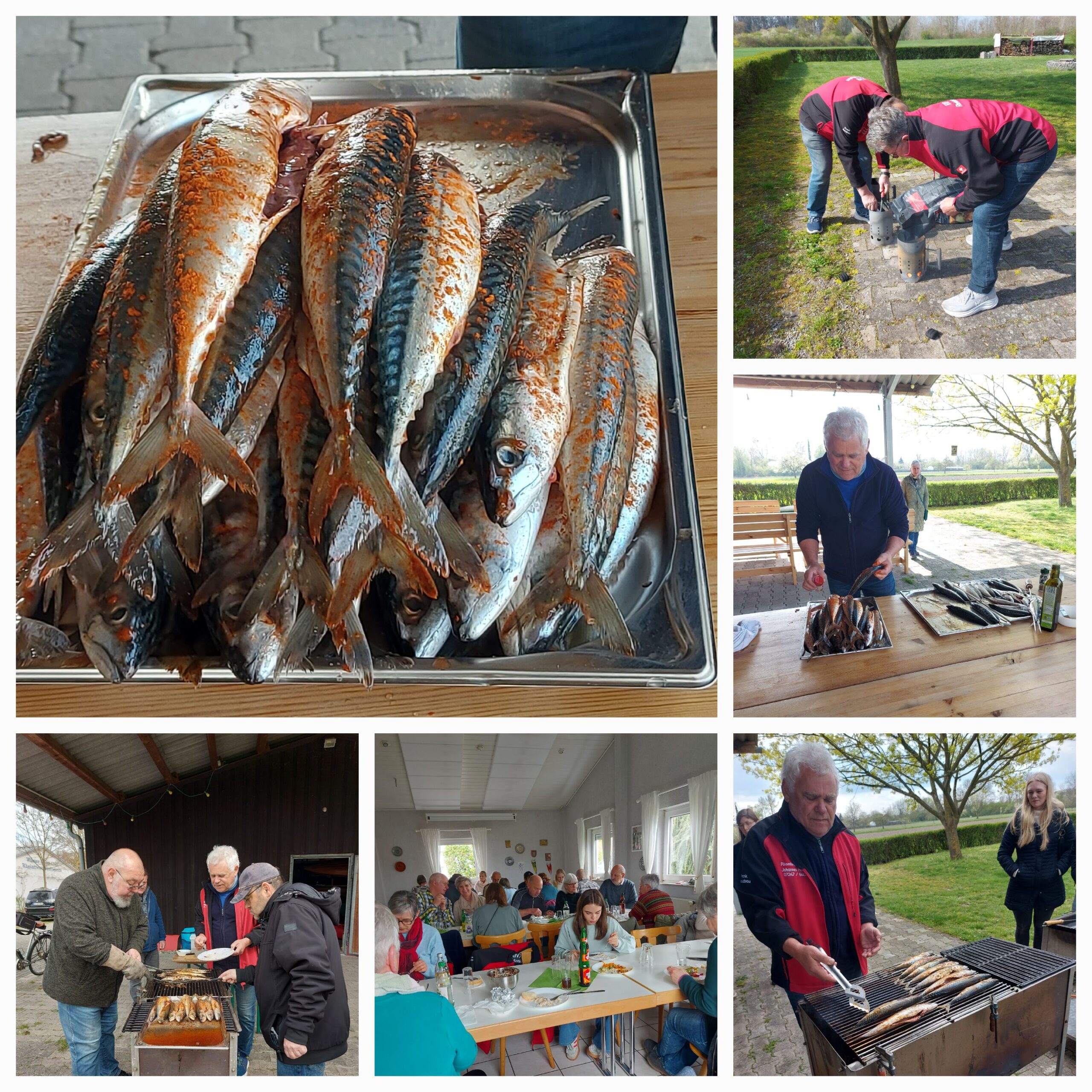 Bilder Regina Kowalczyk